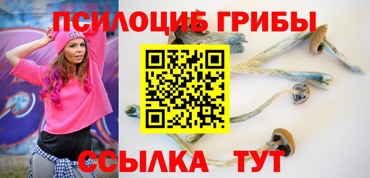 Галлюциногенные грибы Magic Shrooms Менделеевск